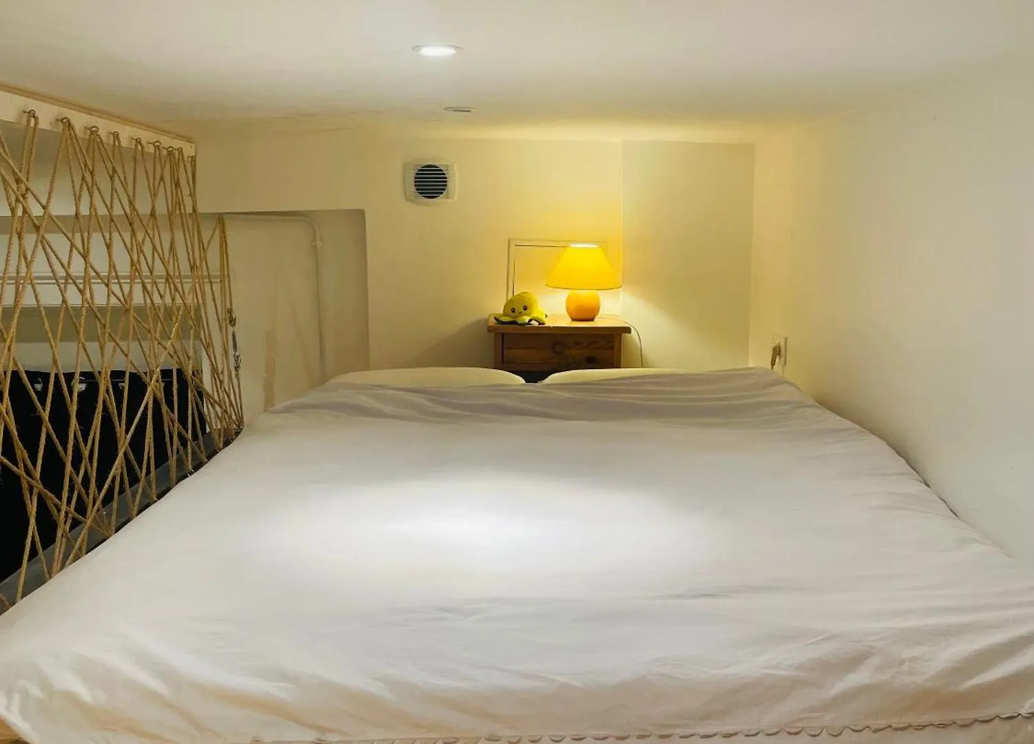 Le Cocon Lyonnais Apartment